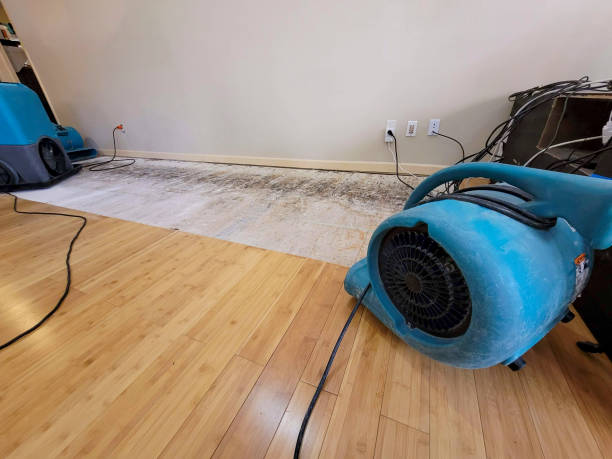 Professional Basement Flood Cleanup technician working in Trenton, AL